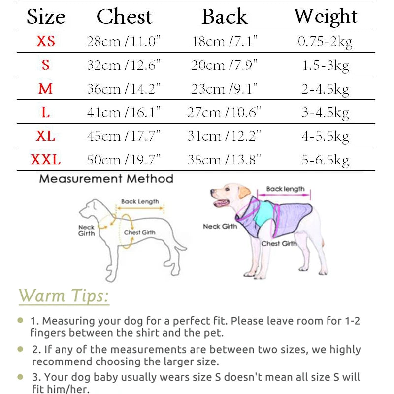 Denim Hooded Dog Jacket with D-Ring