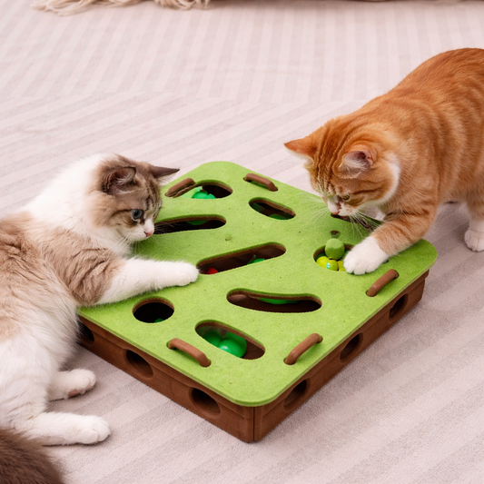 Cat Puzzle Ball Track Toy