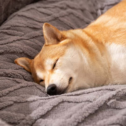 Plush pet bed designed for dogs, featuring a soft padded sleeping surface and raised sides that provide comfort and support during rest