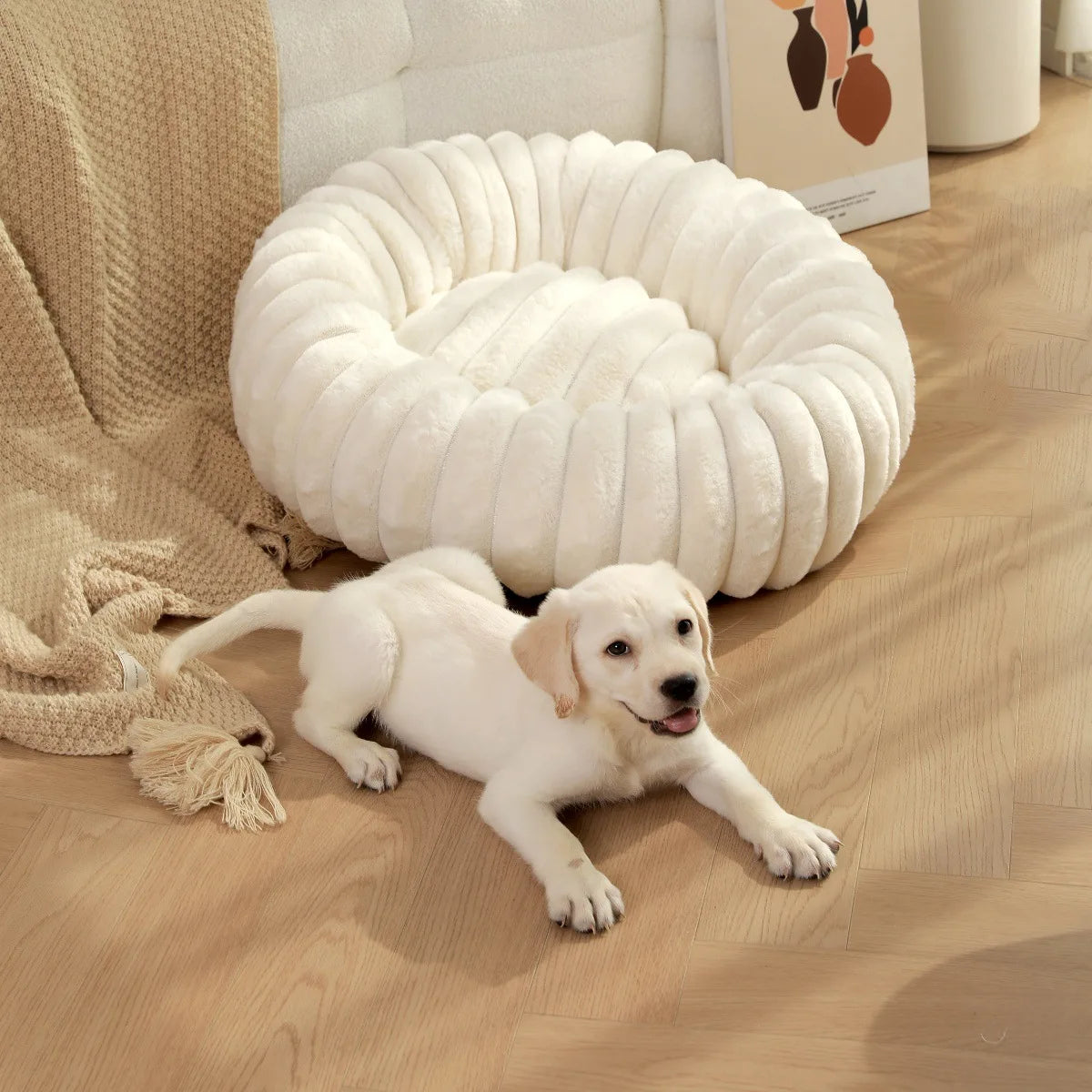 Round Dog Bed Bolster Style with Ribbed Rim