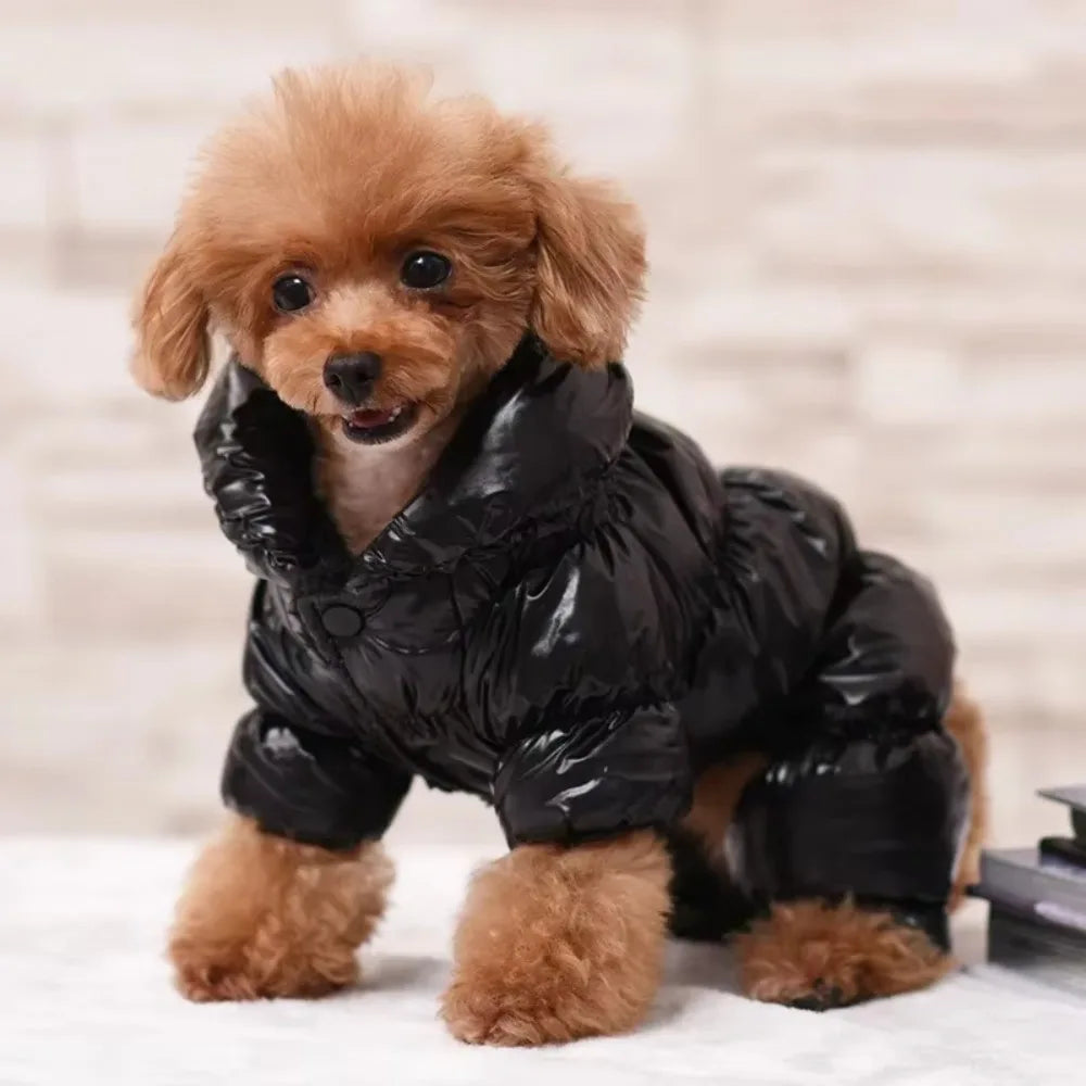 Faux Leather Dog Puffer Coat