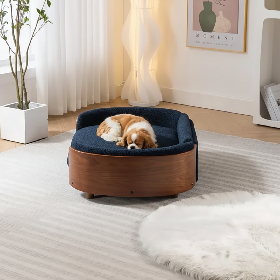 Scandinavian style elevated pet sofa bed designed for dogs, shown in a modern living space with a cushioned sleeping surface and curved supportive sides creating a comfortable lounging area