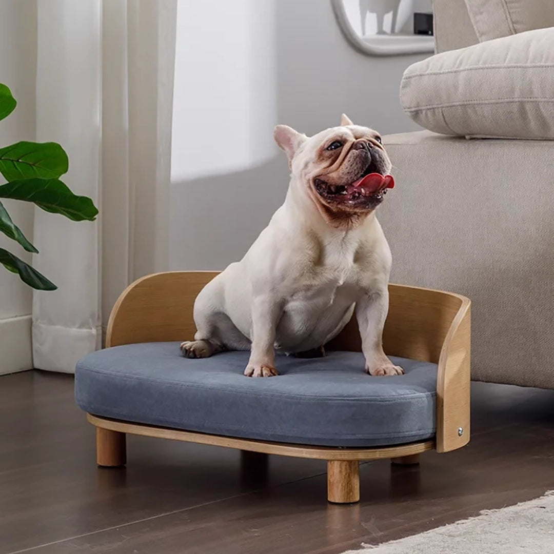 Elevated Pet Sofa Bed With Curved Back Panel And Oval Cushion