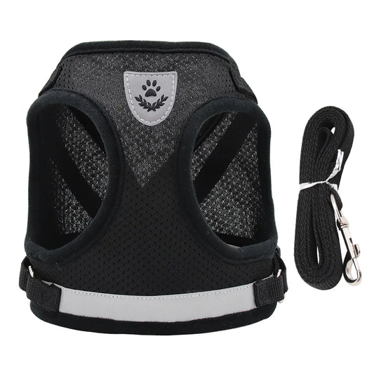 Breathable Mesh Pet Harness and Leash Set with Vest Design