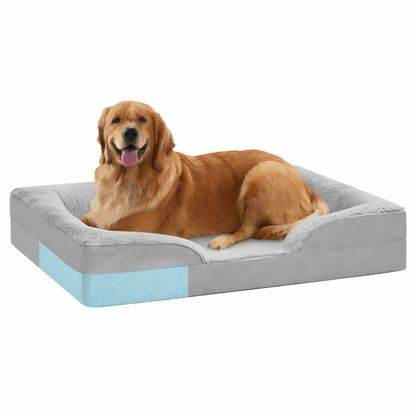 Rectangular Raised-Side Pet Bed With Padded Base